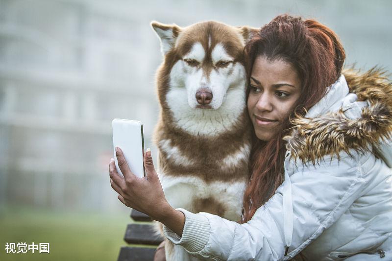 主人和哈士奇玩儿自拍, 二哈直翻白眼 网友笑道: 难为狗子了!