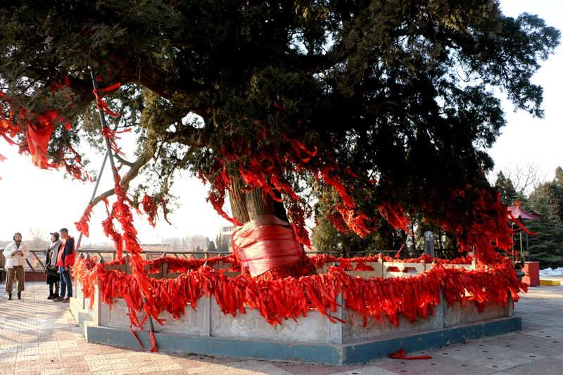 黄河大禹渡昔日水利明珠今朝旅游圣地