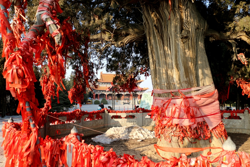 黄河大禹渡昔日水利明珠今朝旅游圣地