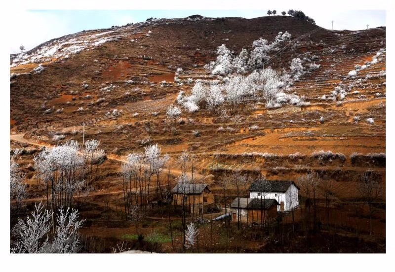 云南昭通高寒山区也有壮观的雾凇,不过当地农村看起来还很贫穷