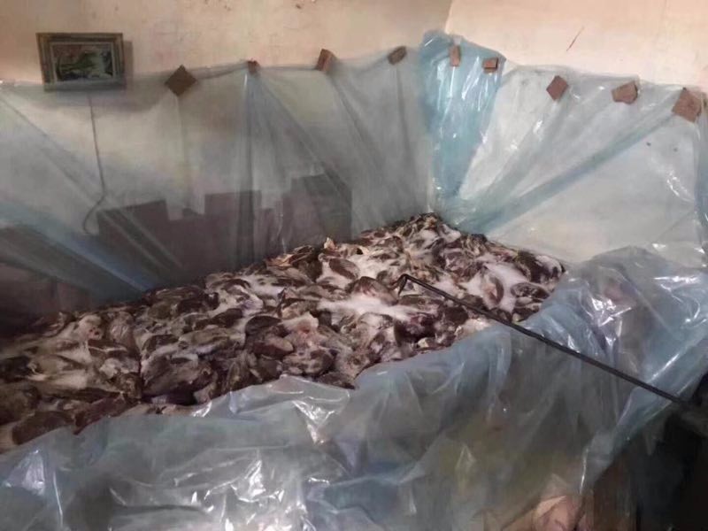渭南澄城县最大的牛羊肉零售批发点牛羊肉居然全是臭肉死肉