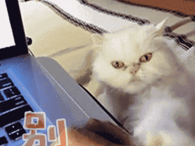 情人节作为单身狗的我,在工作的岗位吃着狗粮