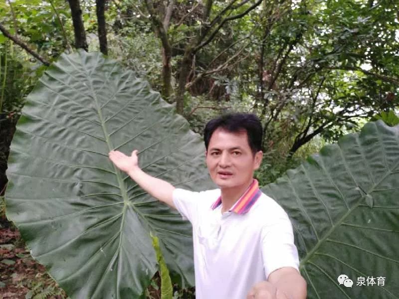 《周末运动汇》预告:永春县吾峰镇吾中村的施华章作客904