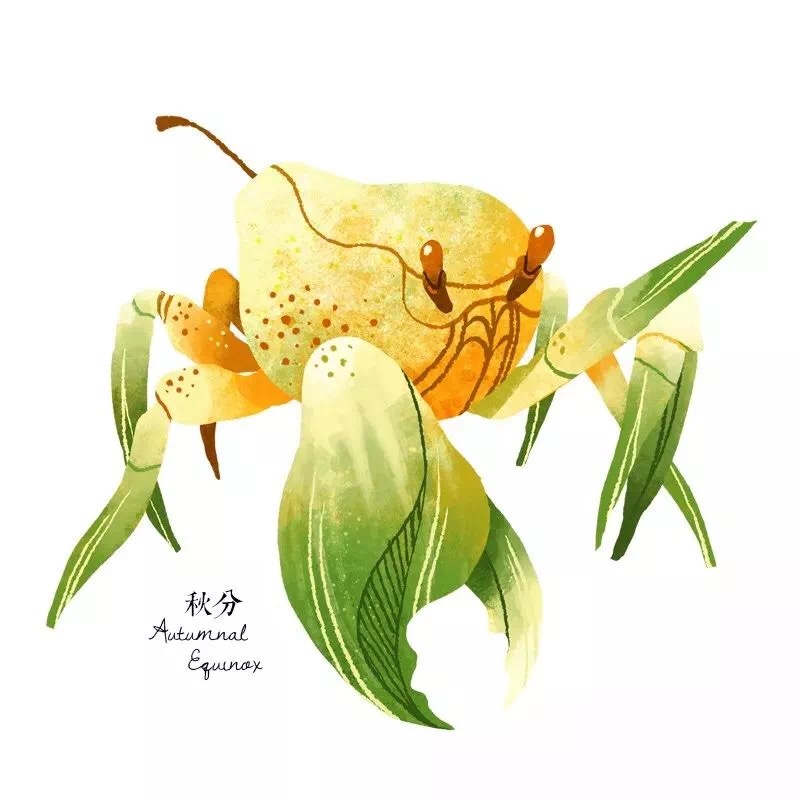 cinyeechiu笔下的24节气二