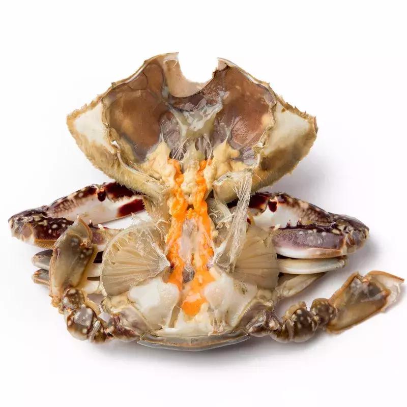 梭子蟹 舟山有很多种螃蟹,其中梭子蟹的产量最高,农历九月的蟹黄,十月