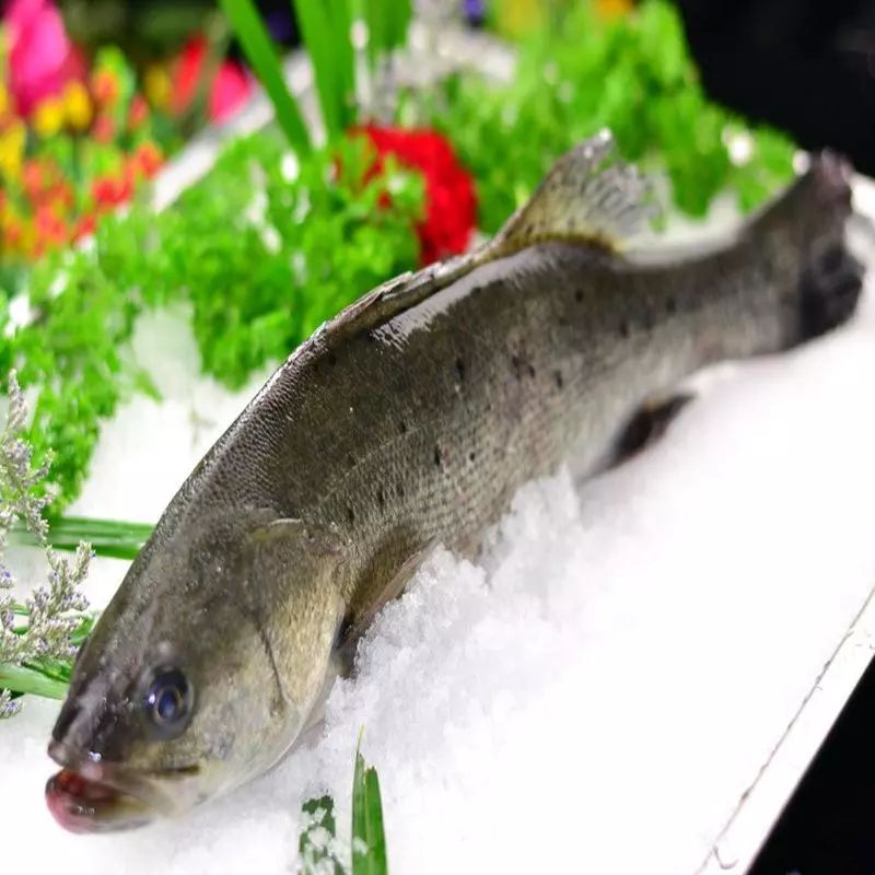 鲈鱼含蛋白质,脂肪,碳水化合物等营养成分,还含有维生素b2,盐酸和微量