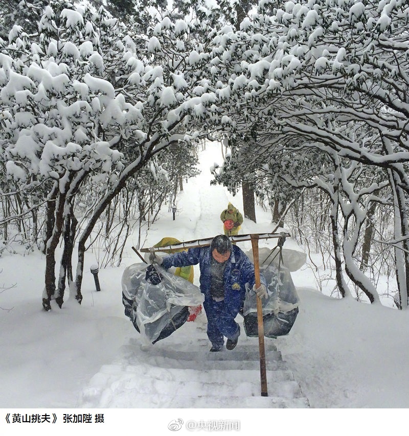 转发这条微博,为这些忙碌的身影点赞![心]