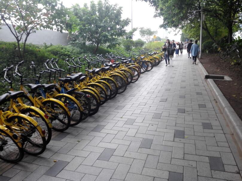 广州街头摄影:停留在街道两旁的共享自行车,成为了一道风景线!