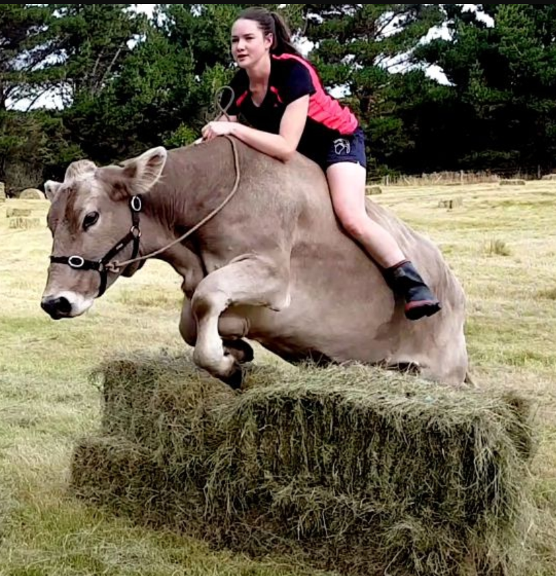 新西兰20岁女汉子把奶牛当马骑网友西方铁扇公主