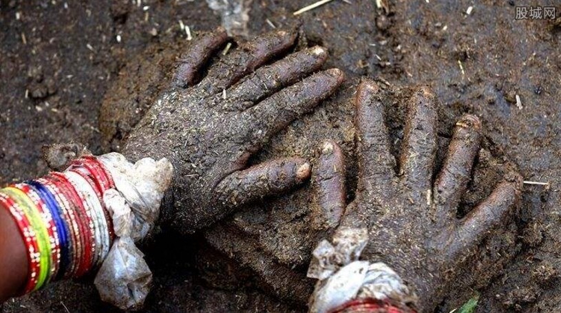 日本人觉得他们只吃牛粪,喝牛尿,街上随便脱裤子大小便.