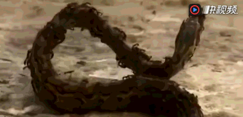 818_395gif 动态图 动图