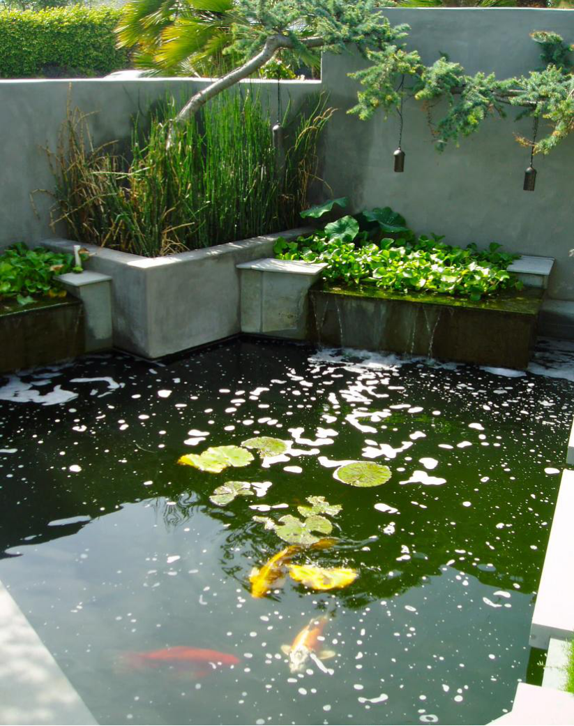 小区庭院挖了个鱼池其他业主纷纷效仿太赞了