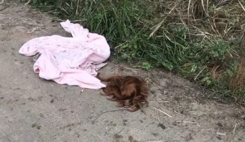 男子桥下发现女子裸尸,吓到腿软报警,警察到场后十分尴尬.