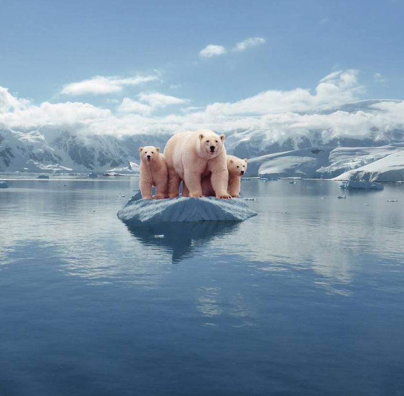 气候变暖冰川融化日本可能沉海,那中国是不是该接纳一些日本人?