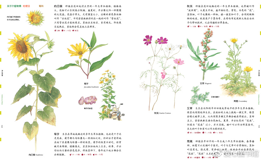 给孩子的自然图鉴植物图鉴