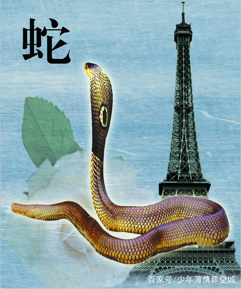 今年有四大吉运,最好的是财运宫遇到龙德护财,龙德大贵人是吉祥大贵人