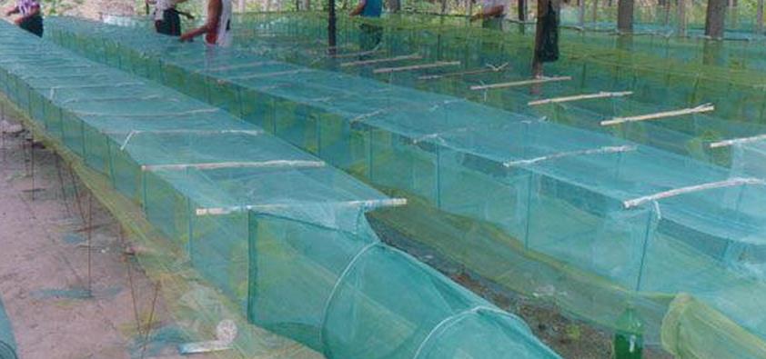 孙膑智斗庞涓的迷魂阵, 渔民用在捕鱼上, 迷魂阵捕鱼完虐其他方法