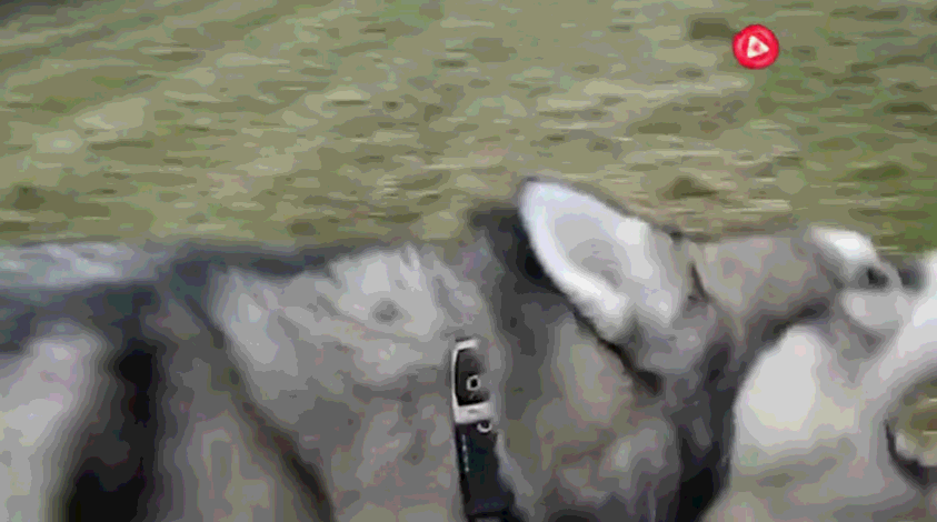 843_470gif 动态图 动图