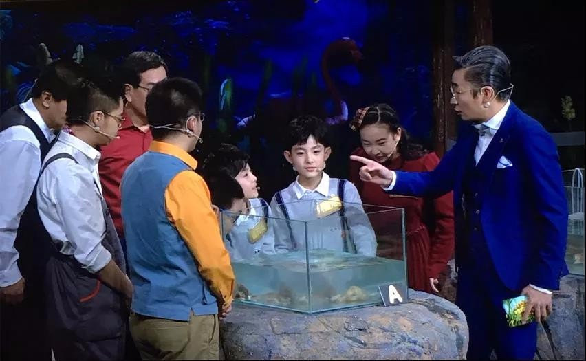 世纪博湾正大综艺动物来啦高颜值双胞胎可乐兄弟做客央视