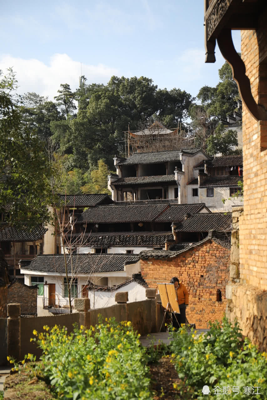 中国山沟里一贫困村,2大绝招让村民每户年收入50万,令世界艳羡