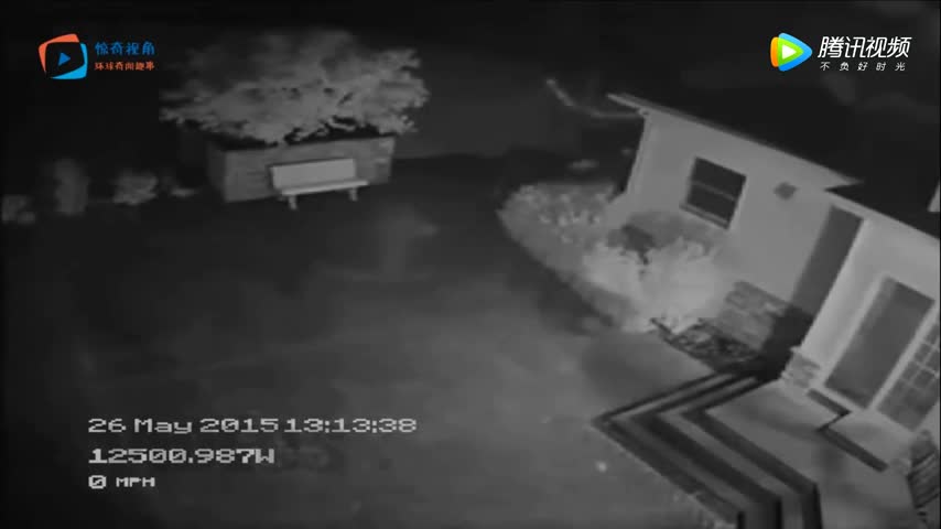 夜晚院子内的监控拍到诡异画面,神秘黑影从房间到街道