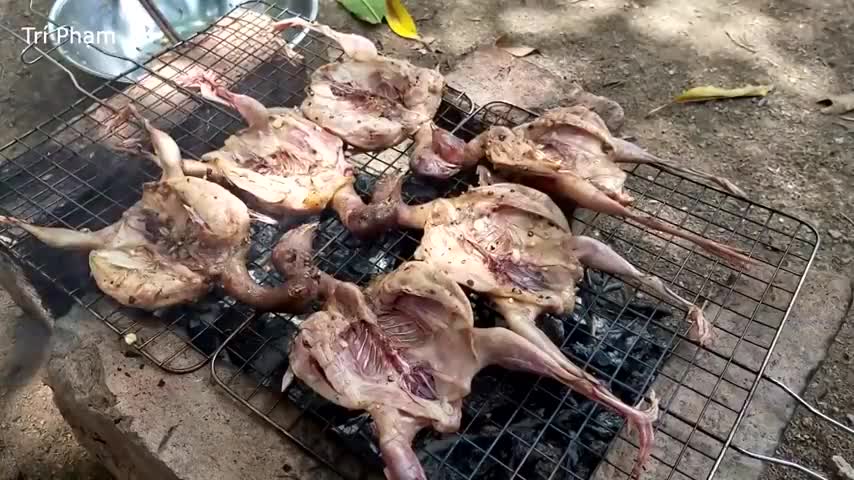 小鸡仔死了舍不得扔,越南小伙把它们烤来吃,味道很棒