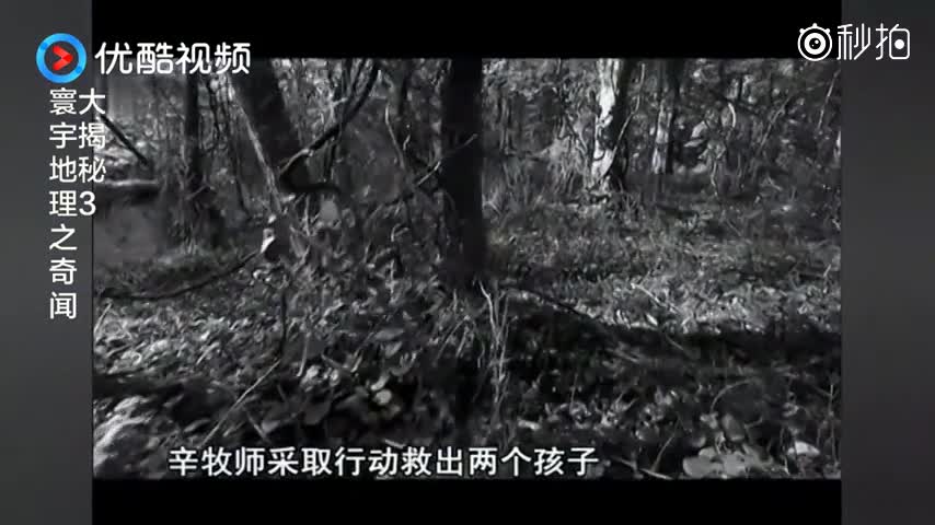 历史上真实存在的狼孩，最后落得这种结果，太悲惨了|历史|狼孩|悲惨|奇闻|科学_新浪新闻