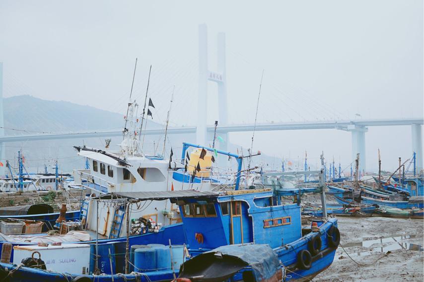 海鲜|厦门|海门岛_新浪新闻