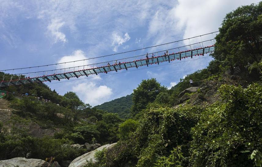 世界上最"陡"的阶梯, 长得像鞋带一样, 距今7000万年!