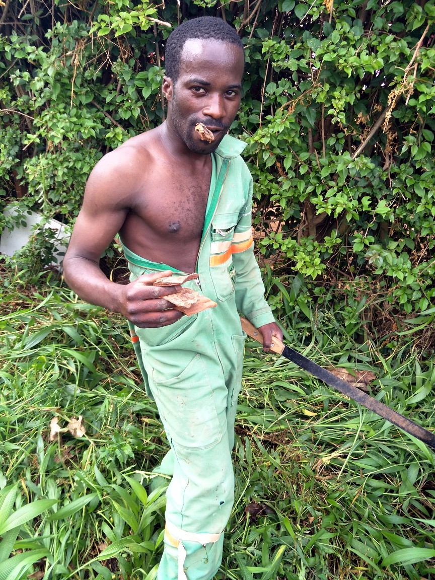 非洲|小谢|卢旺达_新浪新闻