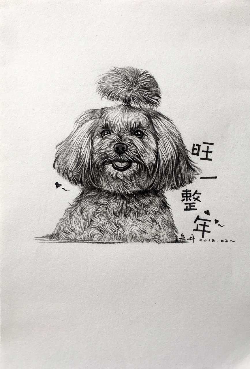 手绘速写狗狗"旺一整年"系列.祝大家狗年"汪旺" 作者