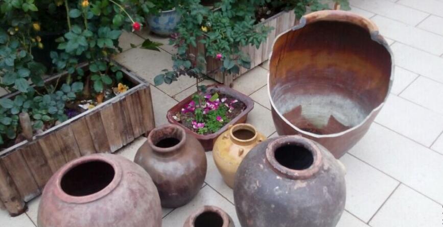 再在底部钻出排水孔,就完活了坛子改的花盆有一点好处就是体积很大也