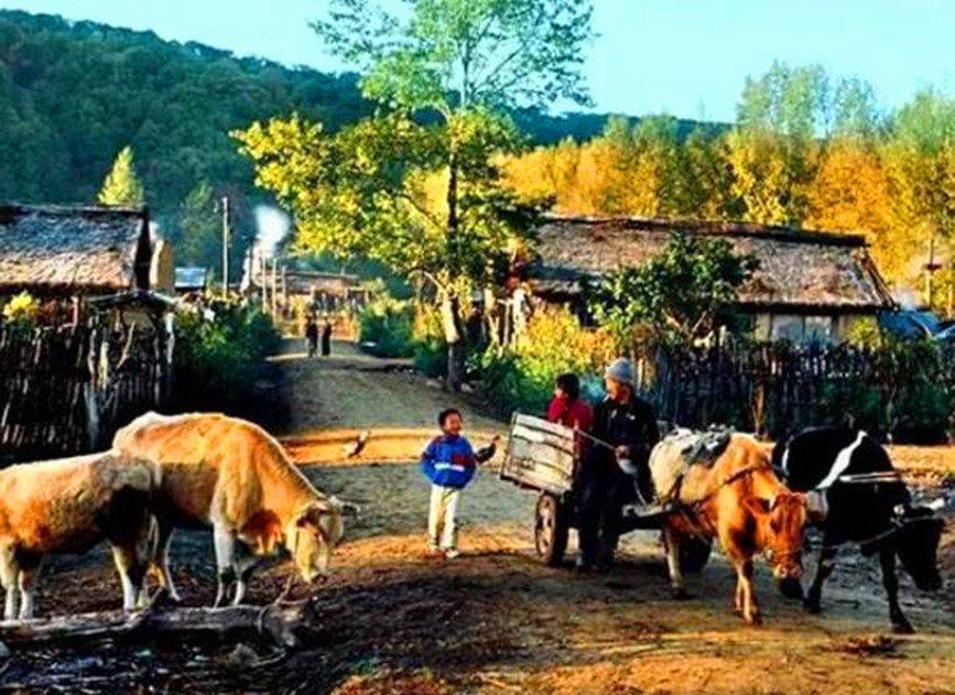 农村买什么车最合适 30万家用车买什么好