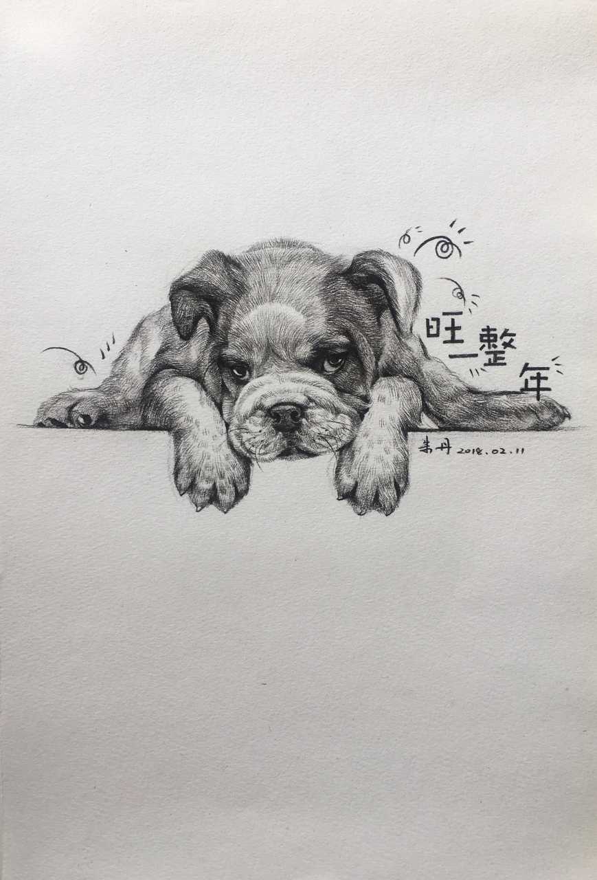 手绘速写狗狗"旺一整年"系列.祝大家狗年"汪旺" 作者