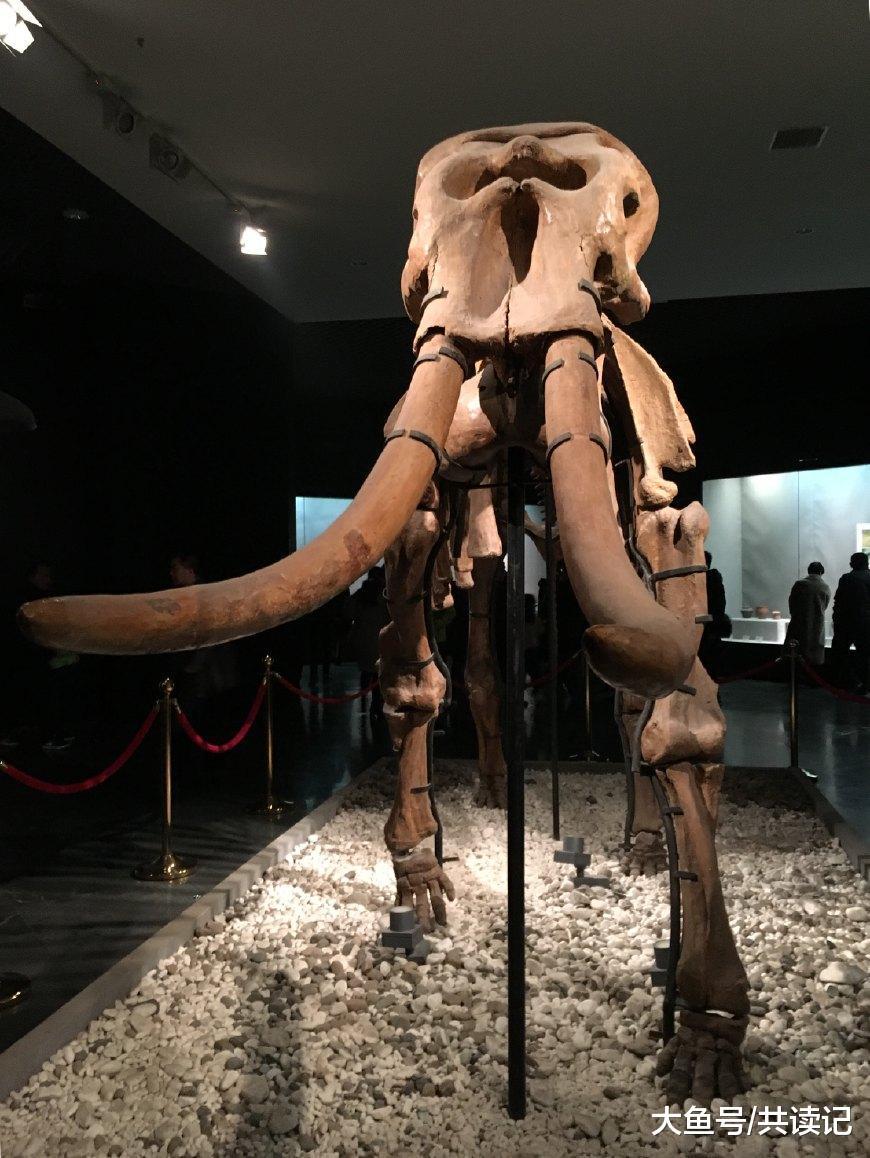 洛阳亲子游若问古今兴废事请看十三朝古都洛阳博物馆国家宝藏