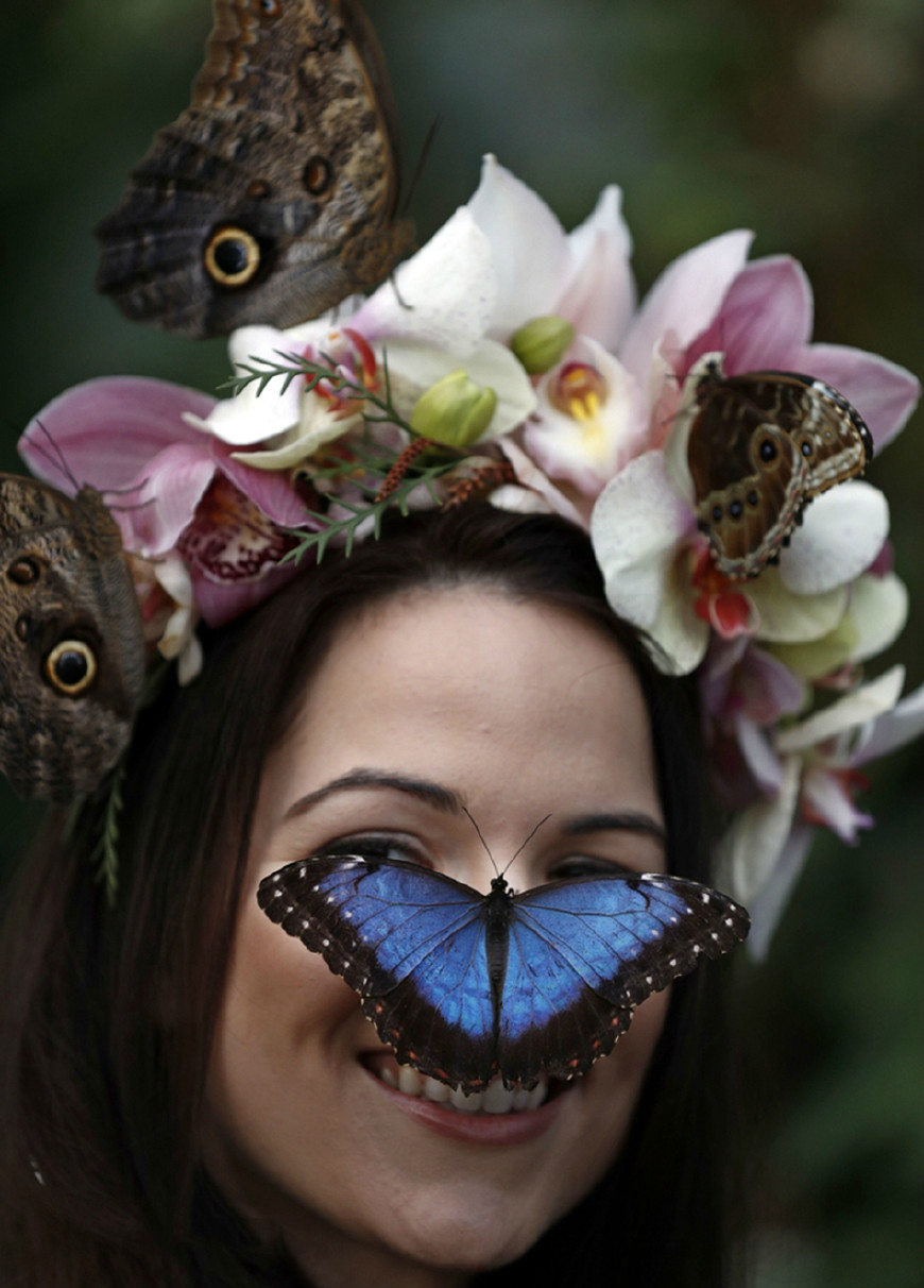 这个美女与蝴蝶搭配处处透着诡异让人浑身发麻