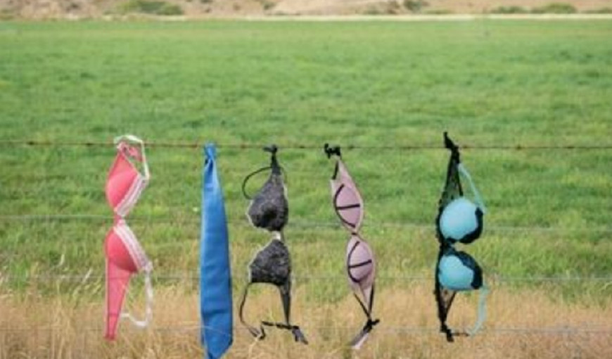 这个旅游地,围栏上面挂满数亿只女性的胸罩,你们觉得怎么样