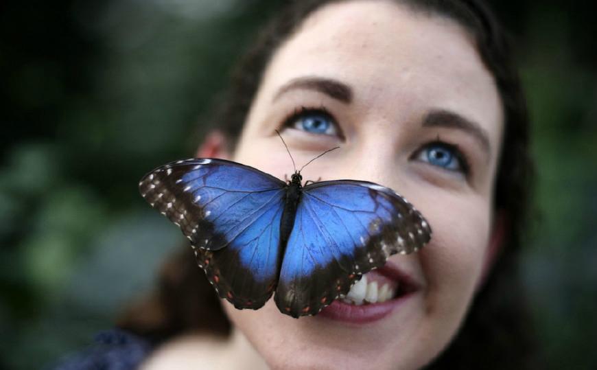 这个美女与蝴蝶搭配处处透着诡异让人浑身发麻