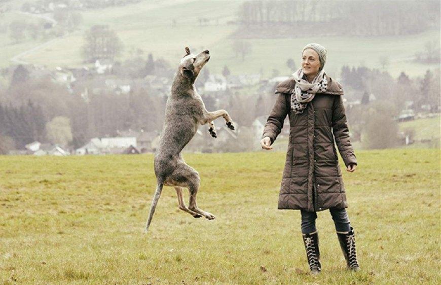 狗狗在外面玩嗨了, 不愿意回家怎么办?