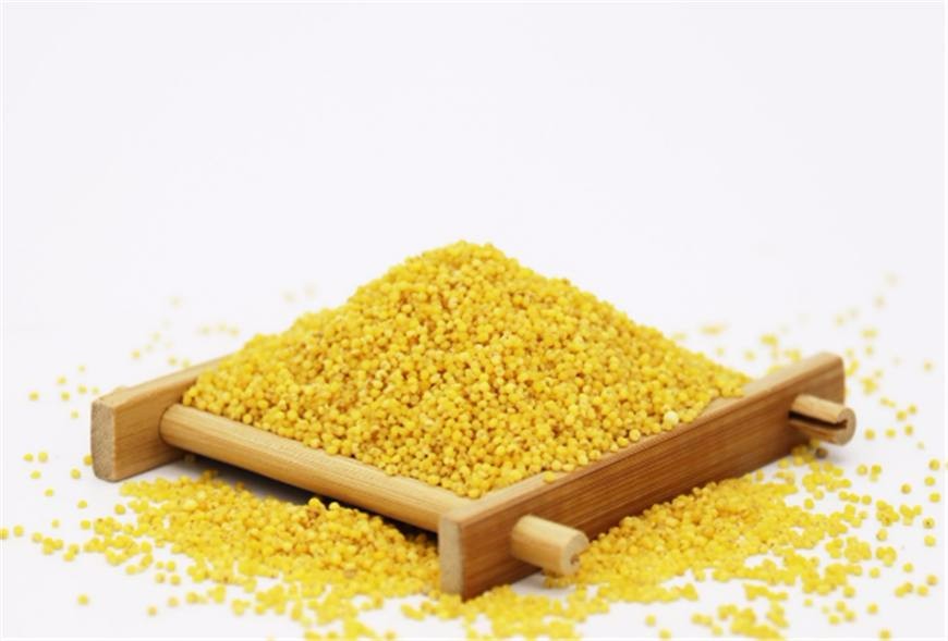 为健康而生的食物,食界叫它"代参汤"|参汤|小米|谷子_新浪网