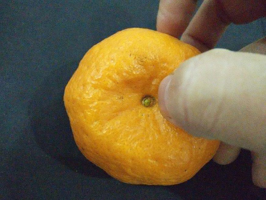 换个方式剥桔子, 吃起更有味道