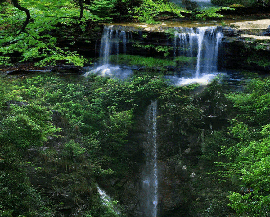 870_699gif 动态图 动图