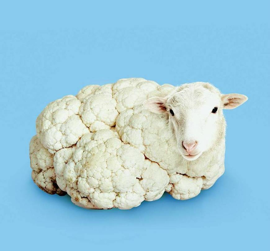 艺术家脑洞大开 设计创意图案