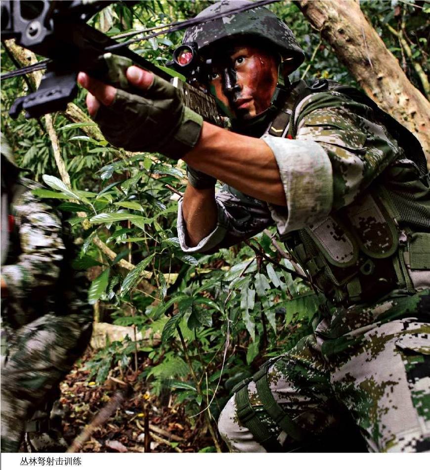 龙焱特种部队歼灭越南图片
