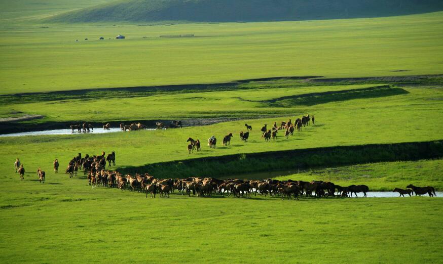 1944年, 这片肥沃的土地被苏联吞并, 脱离祖国的怀抱!