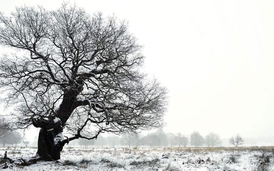 冬季出国旅游必去的十个地方,约起吗?