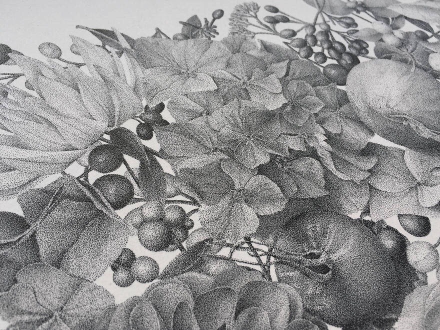 用针管笔点绘 | 法国画家 xavier casalta