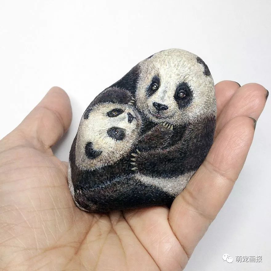 艺术家在石头上画出的动物们,惟妙惟肖