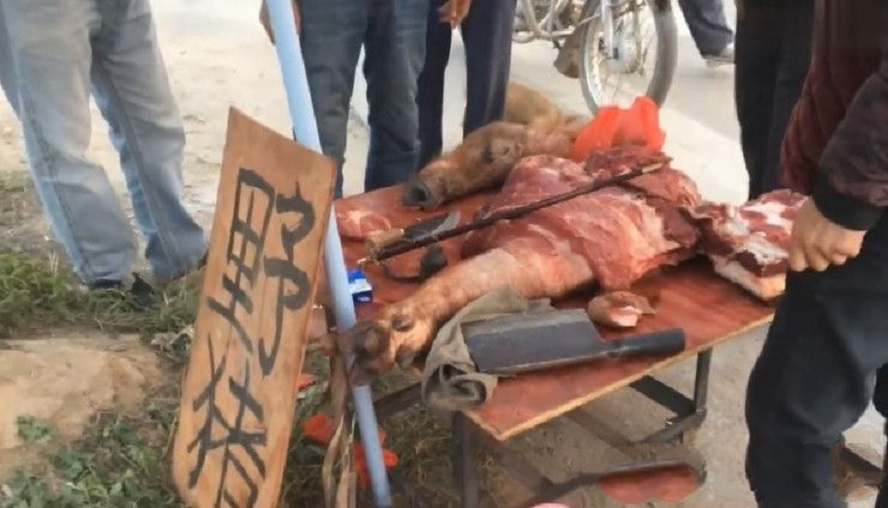 农村小伙集市卖野猪肉,一斤才15块钱,网友:这么便宜,不是好肉