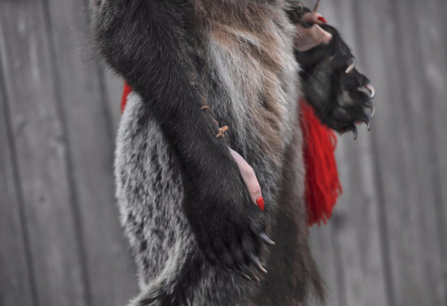 这个节日里人们身披熊皮驱邪,大量棕熊也因此被猎杀